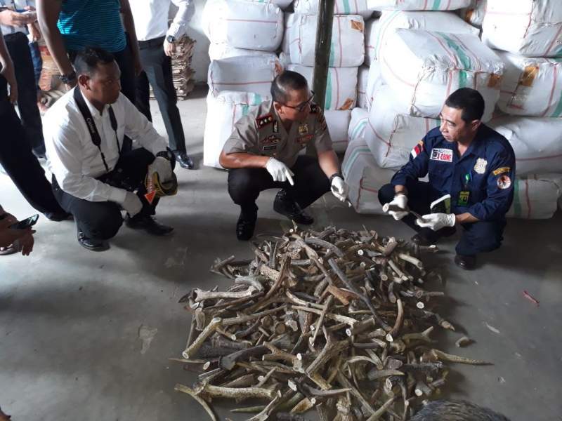 Barang bukti hasil sitaan satwa langka di Cikupa, Kabupaten Tangerang.