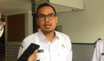Wakil Walikota Tangsel, Pilar Saga Ichsan