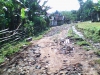 Jalan Kampung Cibiuk Rusak Parah