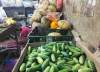Harga dan Permintaan Labu Parang Naik Saat Ramadhan