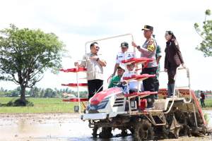 Presiden RI Buka Gerakan Tanam Padi Serentak di 14 Provinsi