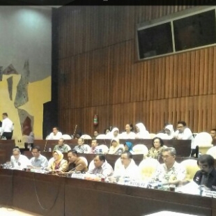 Linmas Muda saat audensi dengan Komisi II DPR RI