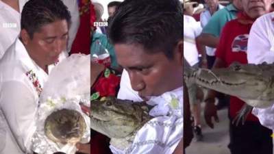 Diluar Nalar, Pejabat di Meksiko Gelar Pesta Pernikahan dengan Seekor Buaya