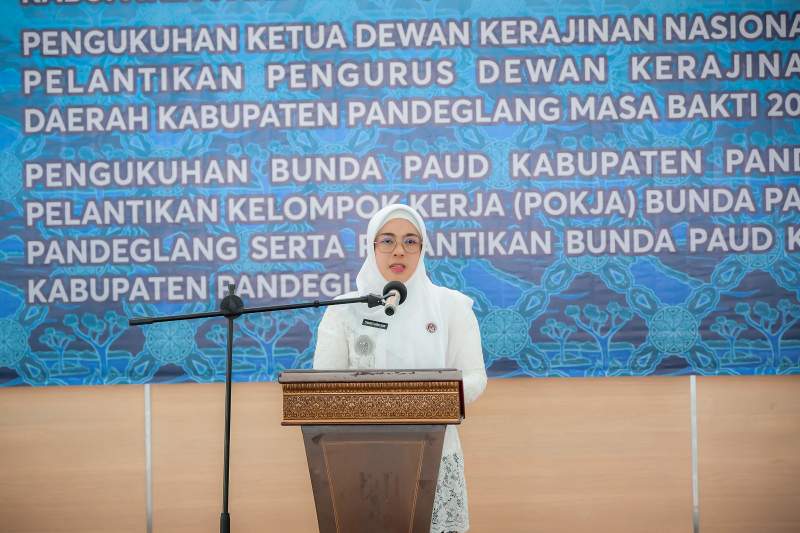 Ketua Dekranasda Banten Hadiri Pelantikan Dekranasda, Pokja Bunda PAUD, dan GOW