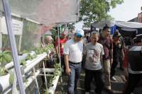 Kebun hidroponik di Kota Tangerang.