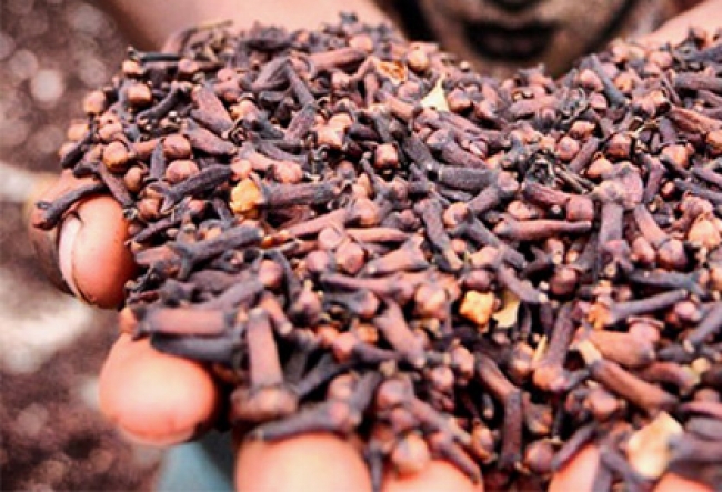 Bupati Lebak Ingin Sejahterakan Petani