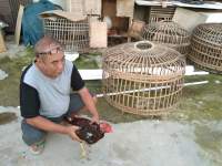 Suhendar korban kemalingan ayam dengan nilai puluhan juta