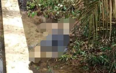 ditemukan mayat tanpa kepala di perkebunan sawit.