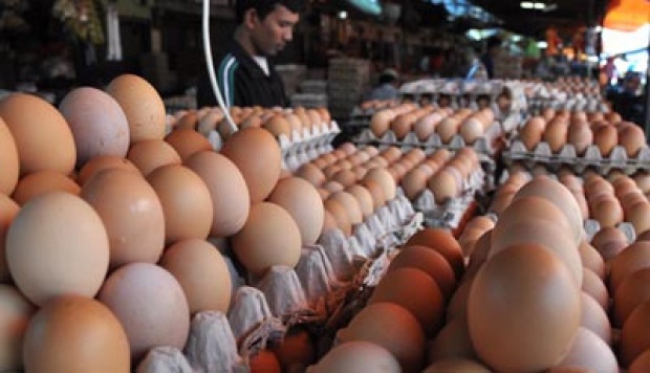 Jelang Ramadhan Harga Telur Melambung Tinggi