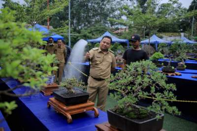 Arief Ajak Ramaikan Pameran Bonsai, Karena Tak Sekedar Seni dan Bernilai Ekonomi, Juga Bentuk Peduli Terhadap Lingkungan