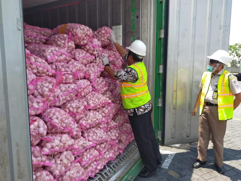 Pengecekan bawang putih impor oleh petugas karantina sebelum diedarkan ke pasaran.