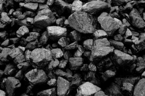 Peti Batu Bara Kembali Marak, Pemkab Jangan Tutup Mata