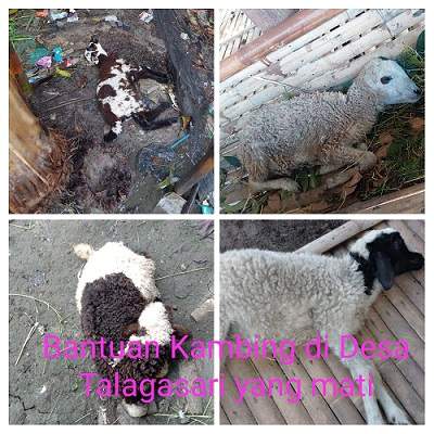 BPD Talagasari Soroti Kegiatan Fisik dan Non Fisik Dana Desa