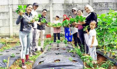 Lurah Perigi Baru Ade Helmi bersama kader PKK dan warga saat panen sayuran Pakchoy di fasos-fasum klaster Althia Park, Perigi Baru.