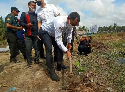 Bupati Serdang Bedagai, Darma Wijaya tanam pohon di bantaran sungai Bedagai.