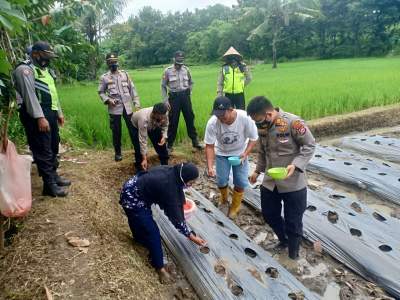 Kapolsek Ciwandan Kunjungi Kelompok Wanita Tani