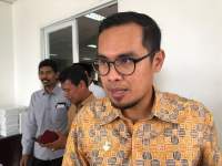 Wakil Walikota Tangsel, Pilar Saga Ichsan