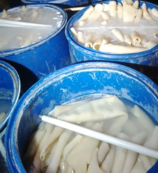Kikil yang sedang direndam dengan bahan kimia jenis Hyprox