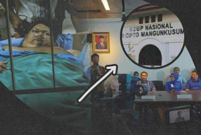 Andi Firdaus/Antara, Getty Imag/Future Publishing, Ilustrasi: Aqila/db