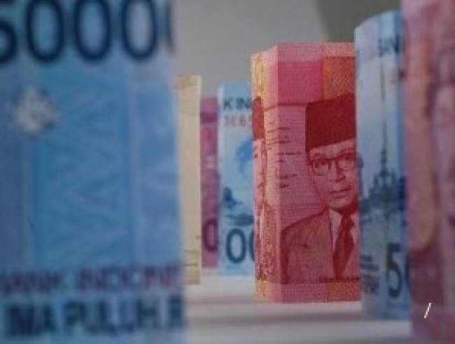 Prof. Dr. Rina Oktaviani: Setidaknya Penggunaan DAU Harus Seimbang