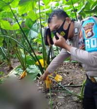 Mayat Tinggal Kerangka, Gegerkan Warga Kecamatan Petir