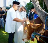 Pilar Sembelih Langsung Hewan Kurban