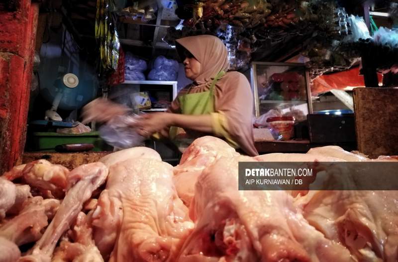 Ilustrasi penjual daging ayam. (foto: Aip/detak)