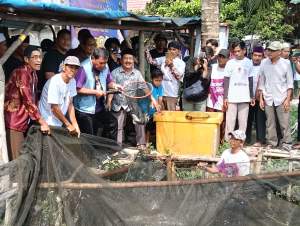 Maesyal Rasyied Panen Lele Bareng Warga Desa Gandaria