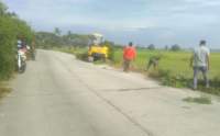 Dua Ekskavator di Turunkan, Bersihkan Pohon liar di Sepanjang Jalan Cirarab