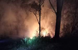 Petugas memadamkan api yang membakar kawasan lahan hutan di Karo.