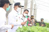 Mad Romli Panen Raya Bareng Danrem 052 di Teluknaga