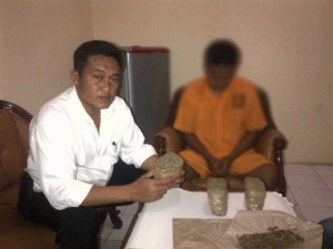 1 Kg Ganja Berhasil Diamankan Polres Serang, Dari Pengedar Ganja