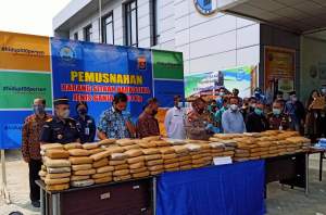 301 KG Barang Sitaan Ganja Dari Aceh Dimusnahkan BNNP Banten