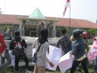 P4 Tolak Rencana WWF dan BTNUK Memindahan Badak Jawa