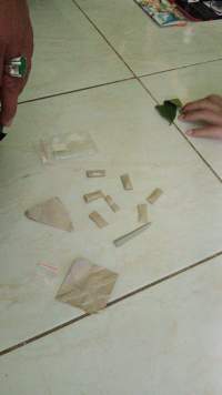 Pengedar Sabu Ditangkap Polisi, 8 Paket Sabu Disembunyikan di Bawah Aquarium