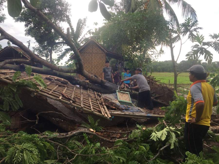 Rumah rusak tertimpa pohon di Desa Benda, Sukamulya, Kabupaten Tangerang.