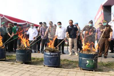 Wakil Bupati Bareng Kapolresta Musnahkan Ratusan Kilogram Ganja