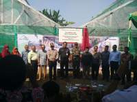 Pertamina MOR III Kembangkan CSR Tanaman Sayuran Hydroponic dengan Sistem Green House