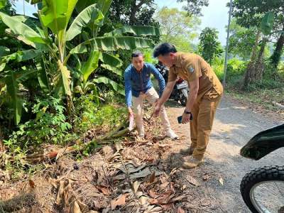 Bayi Mungil Ditemukan Warga Jambe Di Dalam Kardus Air Mineral