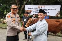 Kapolresta Tangerang Salurkan Hewan Kurban Sapi Dan Kambing