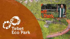 Taman Kota Jakarta Selatan Tebet Eco Park (Foto: Wisata Milenial/VOI/tebetecopark.id) Ilustrasi