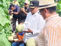 Darma Wijaya Apresiasi Petani Melon di Sergai Raup Rp1,2 Miliar Sekali Panen