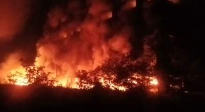 PT Mitra Bangun Cemerlang Rugi Hingga 200 M