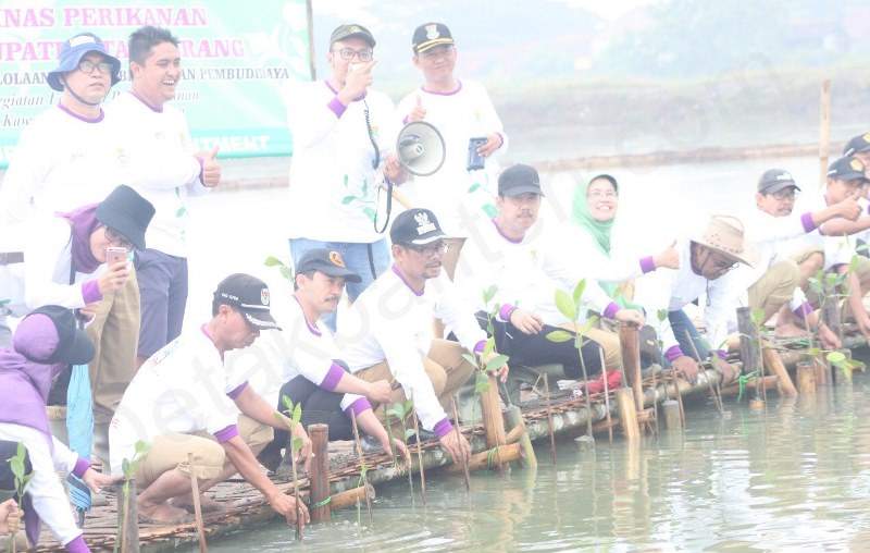 Sistem Wanamina Mulai Dirintis di Tambak Ikan Ketapang