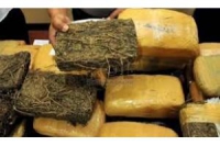 Pengungkapan Kasus Narkoba Di Banten, Didominasi Narkoba Jenis Ganja