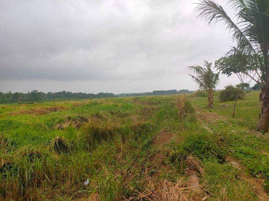 Petani di Desa Bunar Menjerit, Poktan Yang Mati Suri Diminta Diganti