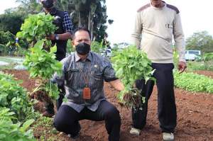 Wujudkan Tangerang MANTAP, DPKP Luncurkan Program Eduwisata Agribisnis