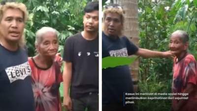 Dituduh Curi 20 Kelapa, Seorang Nenek Dilaporkan dan Diminta Ganti Rugi Rp6 Juta