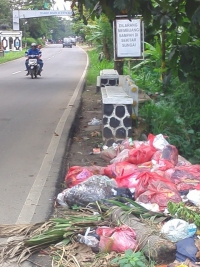 Kampanye Lingkungan Rendah, Warga Buang Sampah Sembarangan