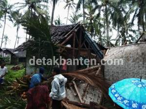 Rumah warga di Desa Muara, Kecamatan Wanasalam, Kabupaten Lebak roboh tertimpa pohon. 